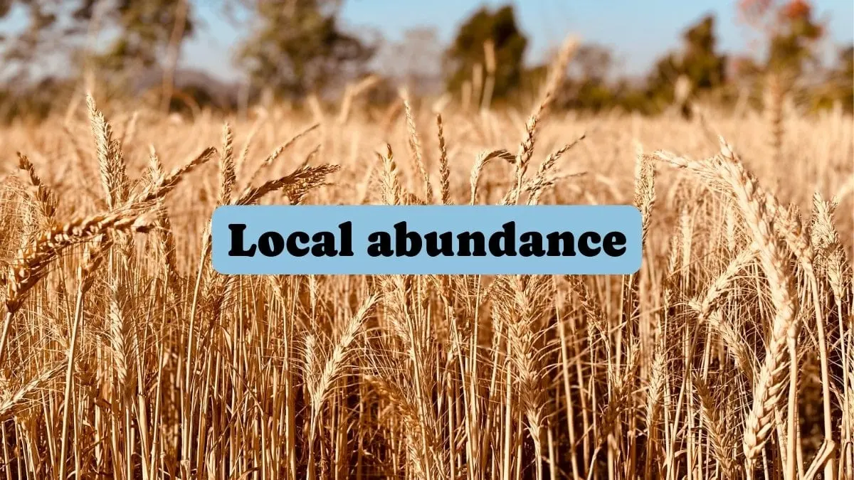 Local abundance